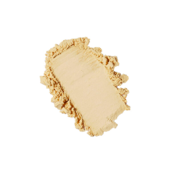 Skin Melt Loose Powder